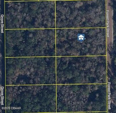 2068 Forest Park St Bunnell, FL 32110