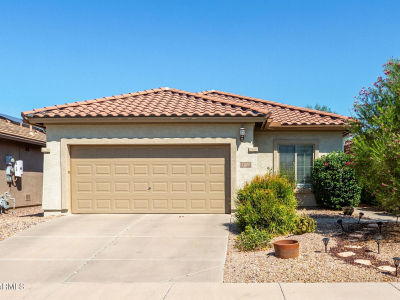 7270 W Candlewood Way Florence, AZ 85132