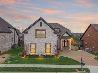 607 Southshore Point Mount Juliet, TN 37122