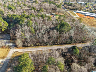 0 Branch Cv #PHASE 2 Odenville, AL 35120