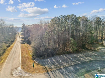 0 Branch Cv #25 Odenville, AL 35120