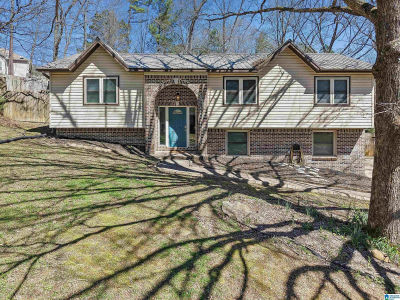 207 Annetta Cir Trussville, AL 35173