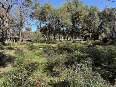 12102 Jollyville Rd Austin, TX 78759