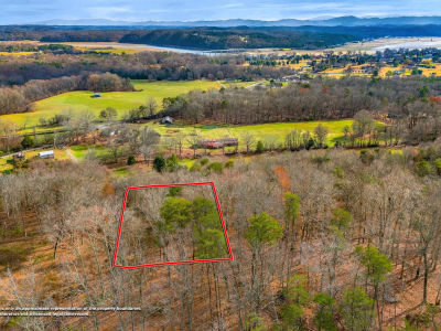 3278 Hillside Pl White Pine, TN 37890