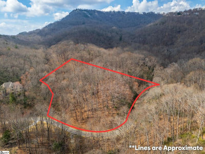 301 Limestone Trl Landrum, SC 29356