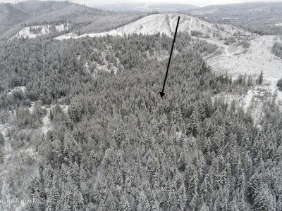 393 E Ridge Rd Saint Maries, ID 83861