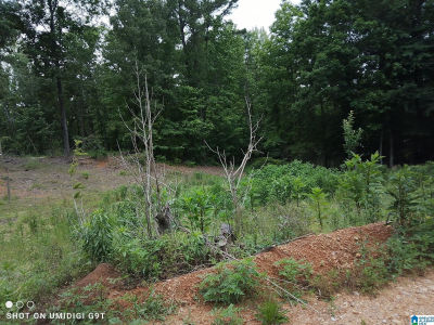 115 Sterrett Dr Sterrett, AL 35147