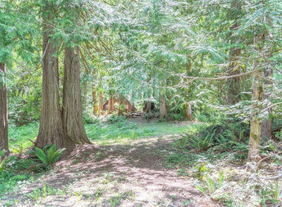 0 Maple Ave Brinnon, WA 98320