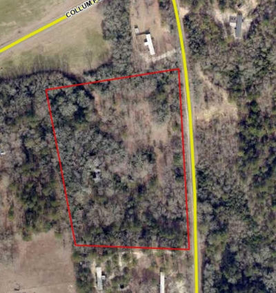 285 Garvin Dr Wagener, SC 29164