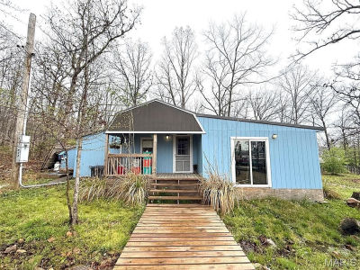 1010 Mead Ln Ironton, MO 63650