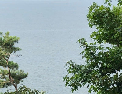 1228 Paradise Dr Waterloo, AL 35677