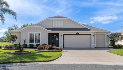 270 Matisse Ave The Villages, FL 32162