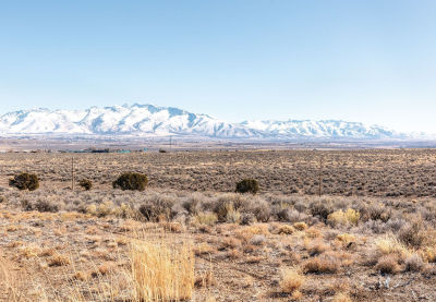 Buffside Dr Spring Creek, NV 89815