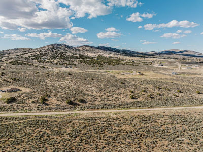 Buffside Dr #11 Spring Creek, NV 89815