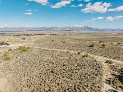 Wong Way #2 Spring Creek, NV 89815