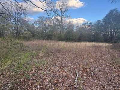 1508 S Alabama Ave #40-41 Monroeville, AL 36460