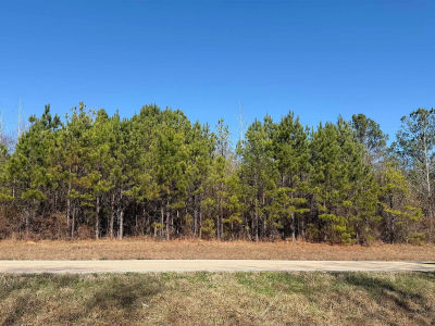 0 State Highway 47 Beatrice, AL 36425