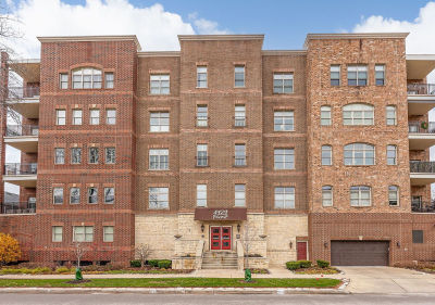 4929 Forest Ave UNIT 2E Downers Grove, IL 60515