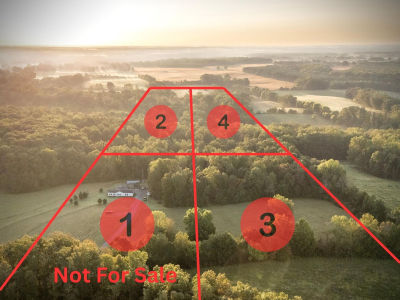 3 County Road 503 Anderson, AL 35610