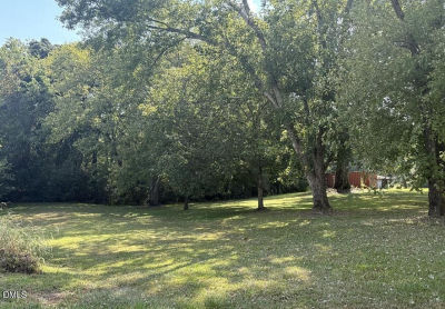 2 Winfred Brady Rd Lot 2 Bennett, NC 27208