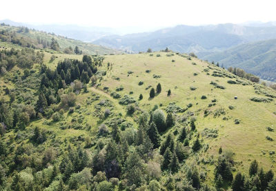 8143 Tiller Trail Hwy Canyonville, OR 97417