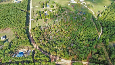 Big Woods Rd New Waverly, TX 77358