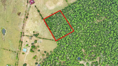 S State Highway 94 Trinity, TX 75862