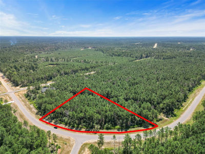 15720 Forest Grove Dr Willis, TX 77378