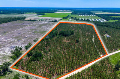 0 SE Coolidge Ave Lee, FL 32059