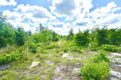 0 SE County Road 412 Mayo, FL 32066