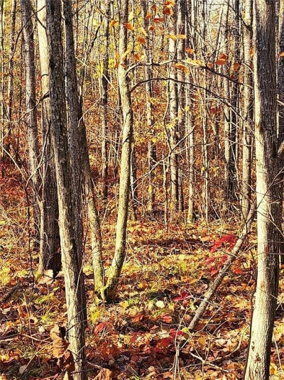 Highway 77 Minong, WI 54859