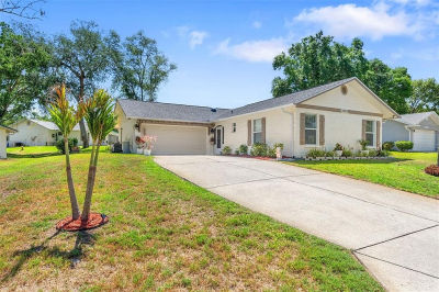 10520 Springwood Dr Port Richey, FL 34668
