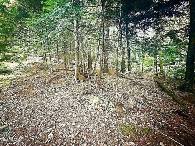 L31 Clarkson Rd Chestertown, NY 12817