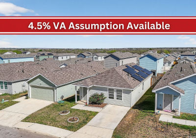 20326 Andesine Rdg San Antonio, TX 78264