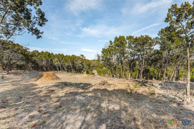 807 Stagecoach Trl Spring Branch, TX 78070