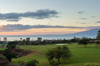 44 Anapuni Loop #3 Lahaina, HI 96761