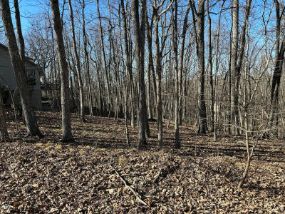 239 Amherst Ln Fairfield Glade, TN 38558