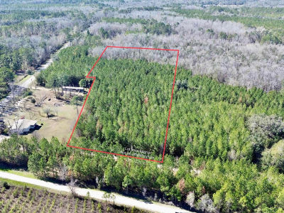 200 Samanthas Ln Monticello, FL 32344