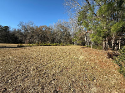 0 Cameron Dr Ridgeville, SC 29472