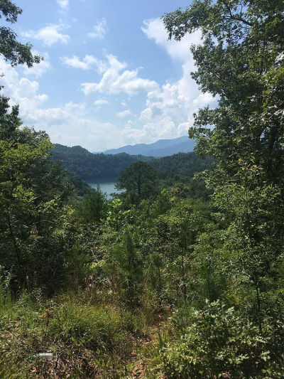 LOT 1A Laurel Crk Bryson City, NC 28713