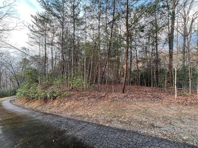 70 Canvasback Ct Whittier, NC 28789