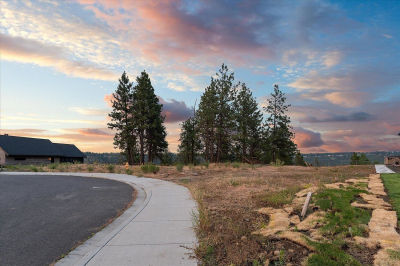5229 S Falcon Point Ct Spokane, WA 99224