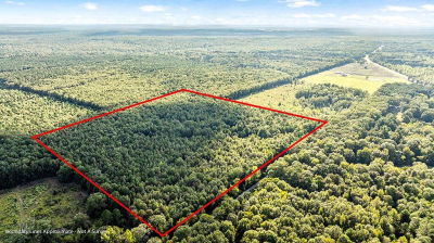 1155 County Road 4153 Simms, TX 75574