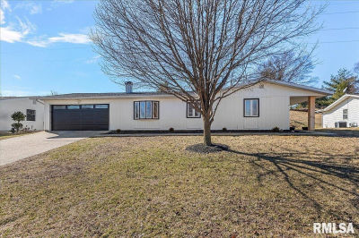 11 Birch Lake Dr Sherman, IL 62684