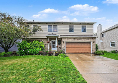 109 S Canyon Dr Bolingbrook, IL 60490