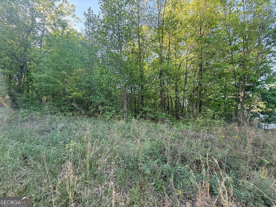 0 Mountain View Cir Bremen, GA 30110