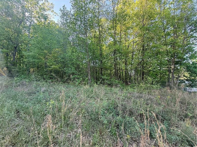 0 Mountain View Cir #44 Bremen, GA 30110
