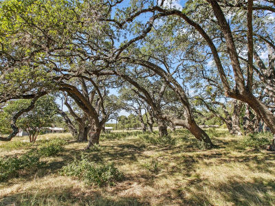1316 Greenlawn Pkwy Blanco, TX 78606