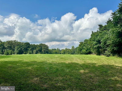 PARCEL 6-22A Black Hill Rd Rixeyville, VA 22737
