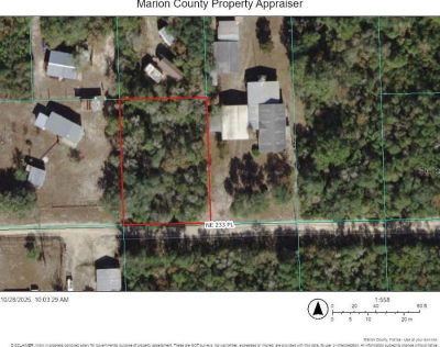 NE 233rd Pl LOT 12 Fort Mc Coy, FL 32134